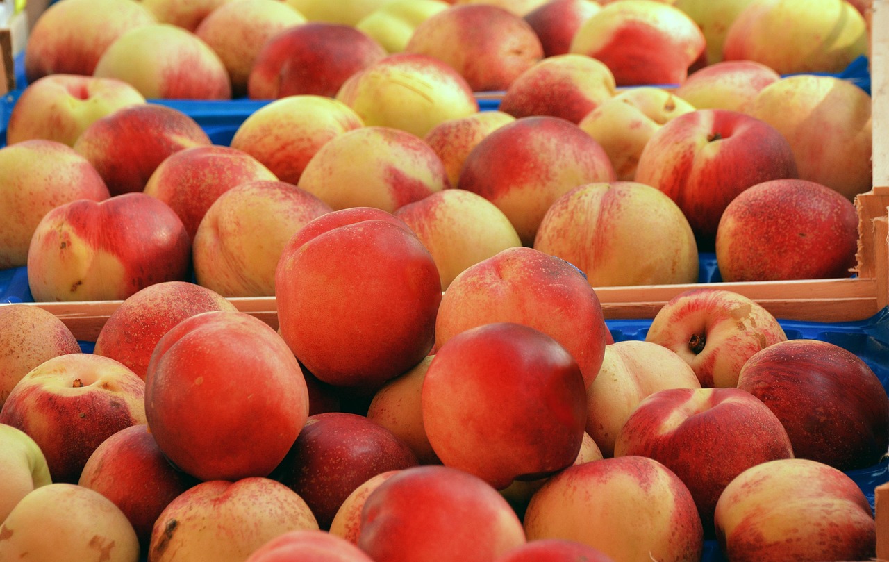 découvrez les stratégies de diversification de marché pour optimiser la croissance de votre entreprise, réduire les risques et saisir de nouvelles opportunités commerciales.