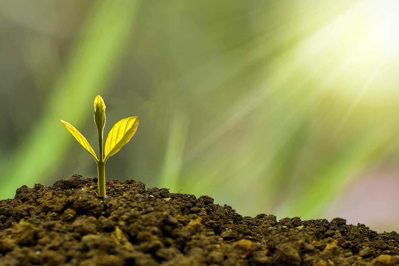 découvrez comment une stratégie de croissance durable peut renforcer la performance de votre entreprise tout en respectant l’environnement et la responsabilité sociale. conseils et bonnes pratiques inclus.