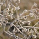 g2799eb3a7ab20d8c1f0af3171f40c214df9a8a07da2d48f5e146c8e186fd20fe2346c504330a3edd97b690dd6e61463e4992424fffe5cd41561ec2545d372016 1280